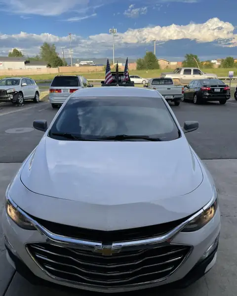 2019 Chevy Malibu sun strip: 13in sunstrip 5%