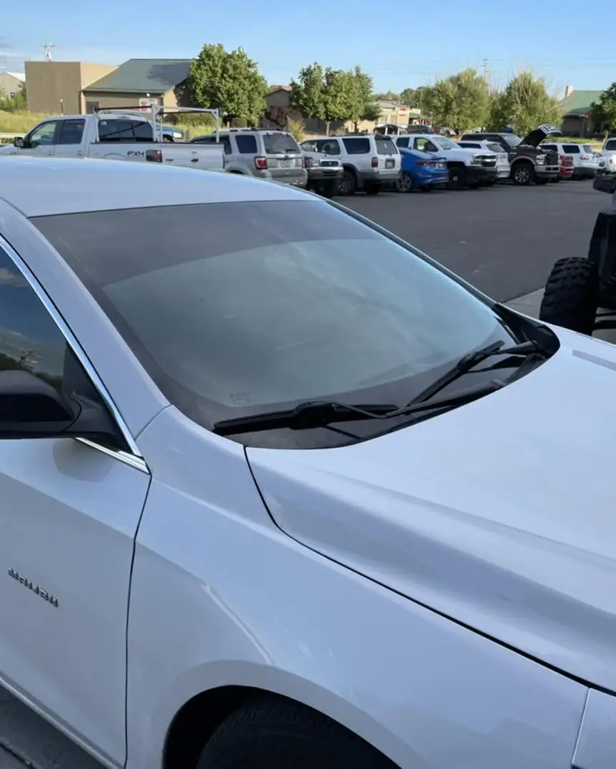 2019 Chevy Malibu sun strip: 13in sunstrip 5% (view 2)